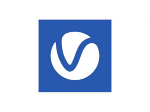Vray - 1 Year